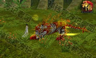 180极品星王合击